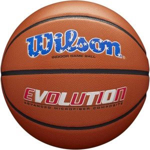 WILSON Evolution Indoor Game Basketballs -